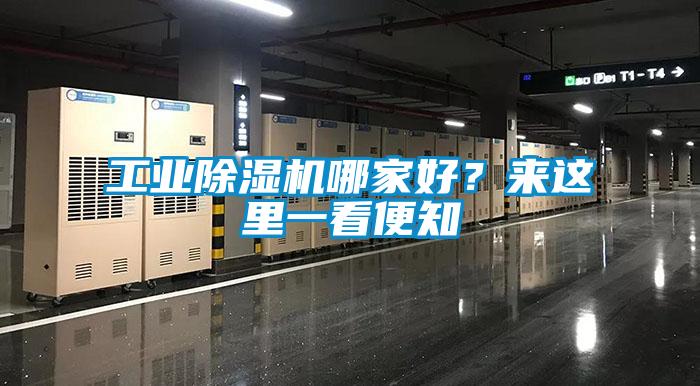 工業(yè)除濕機哪家好？來這里一看便知