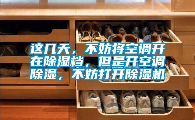 這幾天，不妨將空調(diào)開在除濕檔，但是開空調(diào)除濕，不妨打開除濕機(jī)