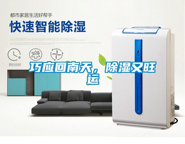巧應(yīng)回南天，除濕又旺運