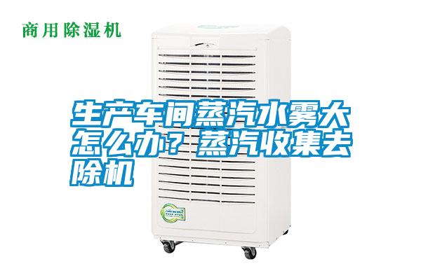 生產(chǎn)車間蒸汽水霧大怎么辦？蒸汽收集去除機(jī)