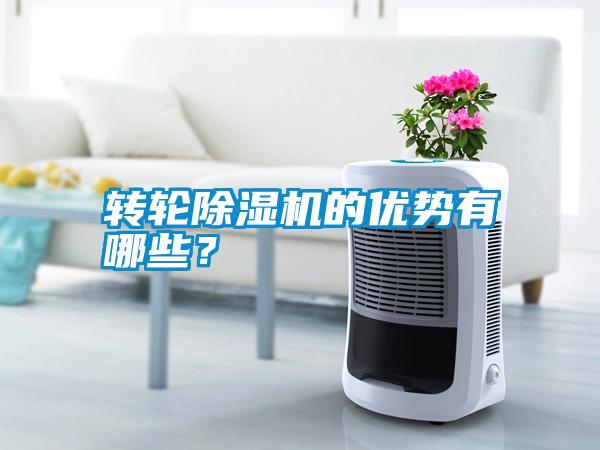 轉(zhuǎn)輪除濕機的優(yōu)勢有哪些？