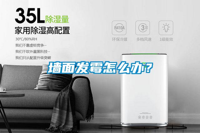 墻面發(fā)霉怎么辦？