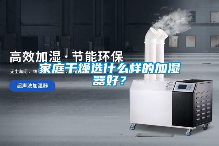 家庭干燥選什么樣的加濕器好？