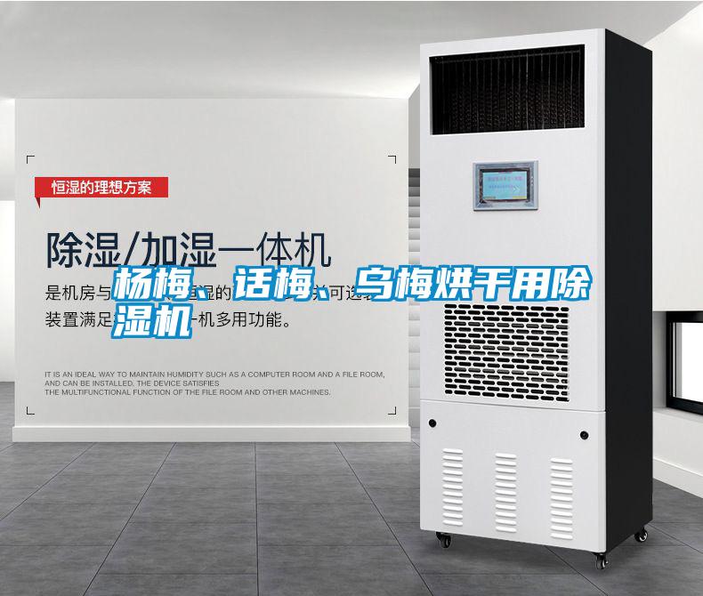 楊梅、話梅、烏梅烘干用除濕機