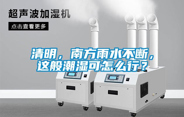 清明，南方雨水不斷，這般潮濕可怎么行？