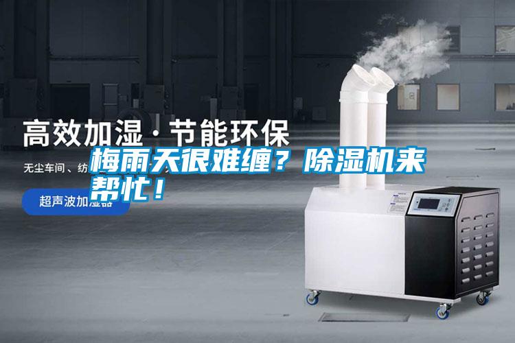梅雨天很難纏？除濕機來幫忙！