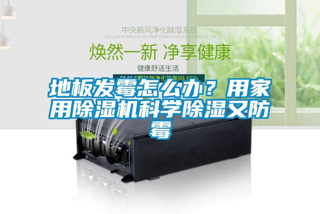 地板發(fā)霉怎么辦？用家用除濕機科學(xué)除濕又防霉