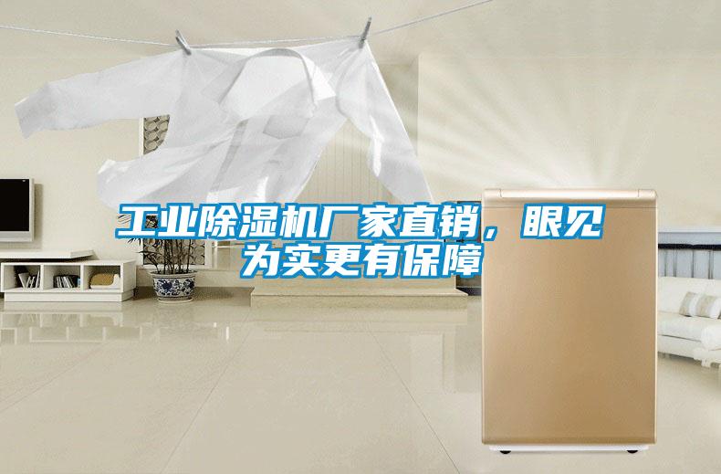 工業(yè)除濕機廠家直銷，眼見為實更有保障