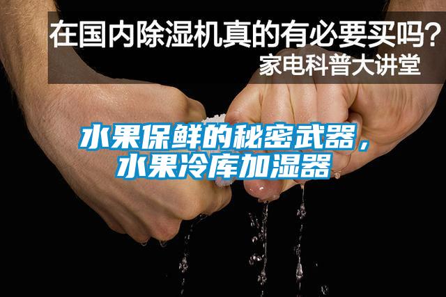 水果保鮮的秘密武器，水果冷庫(kù)加濕器
