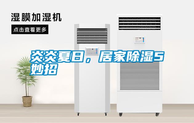 炎炎夏日，居家除濕5妙招