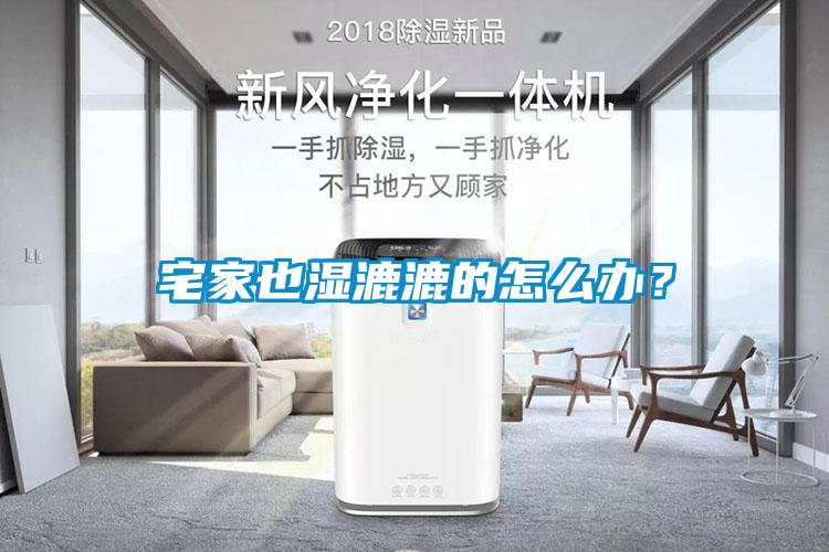 宅家也濕漉漉的怎么辦？