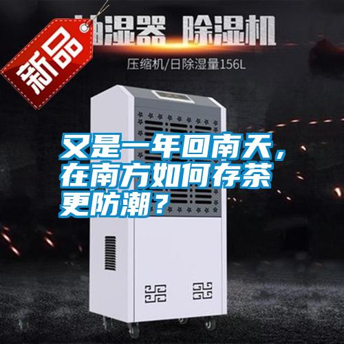 又是一年回南天，在南方如何存茶更防潮？