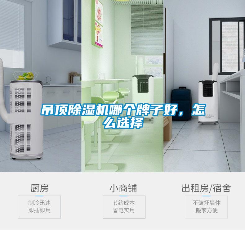 吊頂除濕機哪個牌子好，怎么選擇