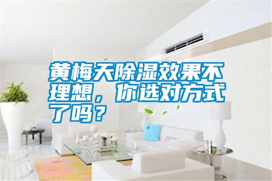 黃梅天除濕效果不理想，你選對方式了嗎？