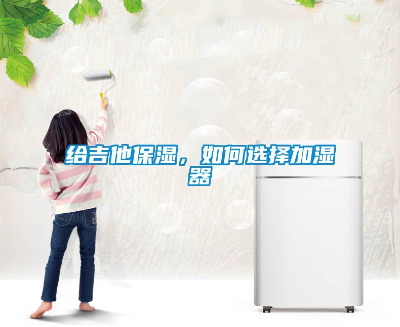 給吉他保濕，如何選擇加濕器