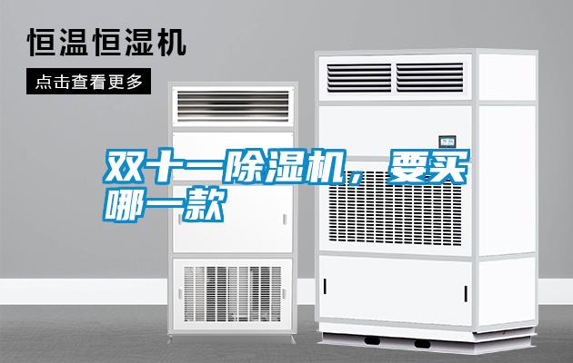 雙十一除濕機(jī)，要買(mǎi)哪一款