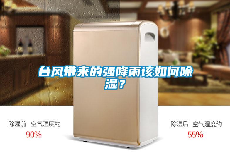 臺(tái)風(fēng)帶來的強(qiáng)降雨該如何除濕？