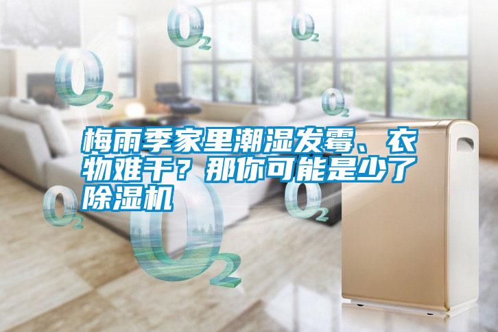 梅雨季家里潮濕發(fā)霉、衣物難干？那你可能是少了除濕機(jī)