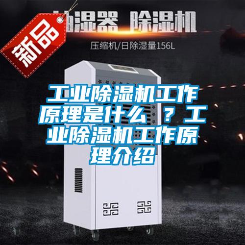 工業(yè)除濕機(jī)工作原理是什么 ？工業(yè)除濕機(jī)工作原理介紹