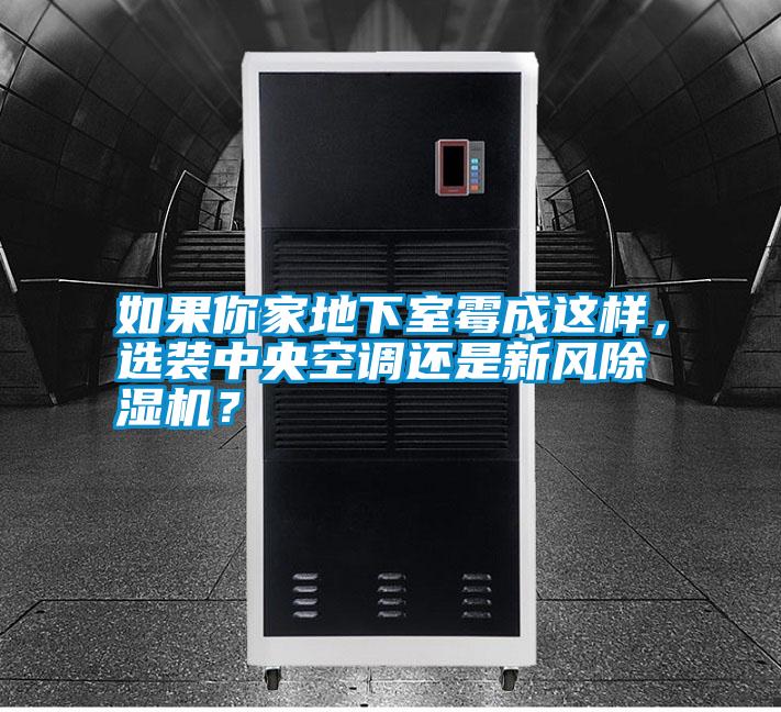 如果你家地下室霉成這樣，選裝中央空調(diào)還是新風(fēng)除濕機(jī)？