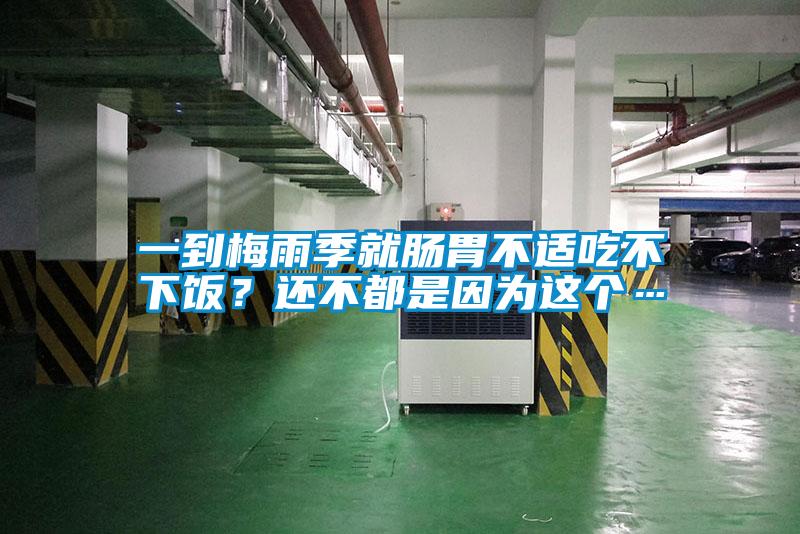 一到梅雨季就腸胃不適吃不下飯？還不都是因?yàn)檫@個(gè)…