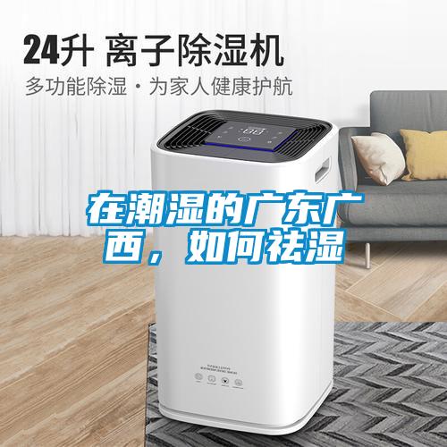 在潮濕的廣東廣西，如何祛濕