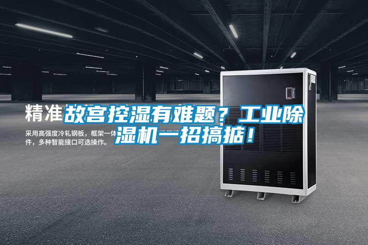 故宮控濕有難題？工業(yè)除濕機一招搞掂！