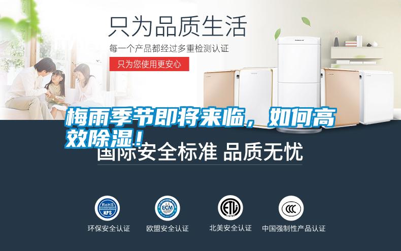 梅雨季節(jié)即將來臨，如何高效除濕！