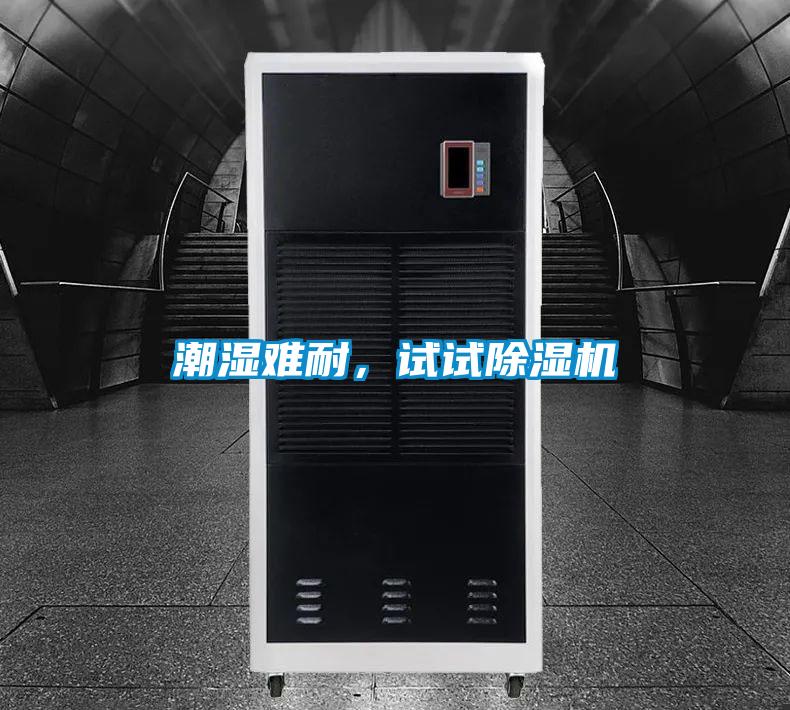 潮濕難耐，試試除濕機