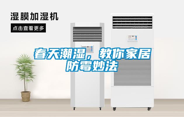 春天潮濕，教你家居防霉妙法