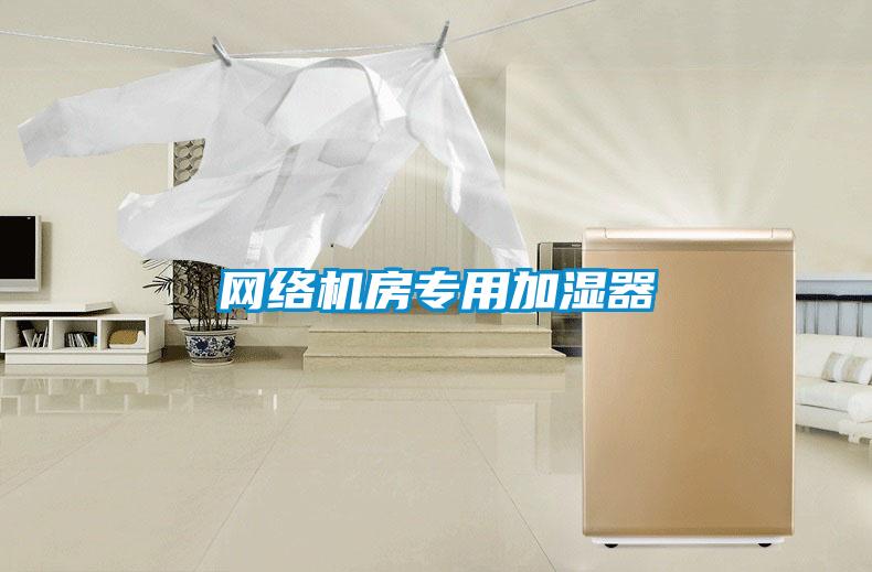 網(wǎng)絡(luò)機(jī)房專(zhuān)用加濕器