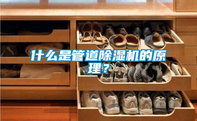 什么是管道除濕機(jī)的原理？