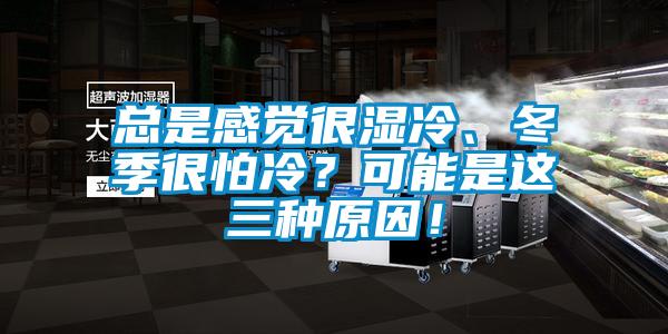 總是感覺很濕冷、冬季很怕冷？可能是這三種原因！