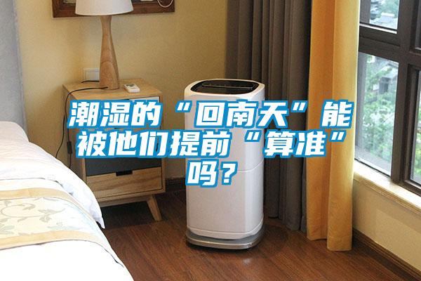 潮濕的“回南天”能被他們提前“算準(zhǔn)”嗎？