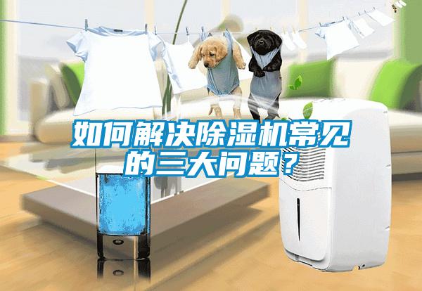 如何解決除濕機(jī)常見的三大問題？