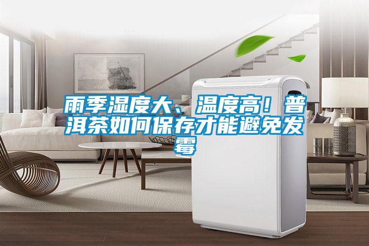 雨季濕度大、溫度高！普洱茶如何保存才能避免發(fā)霉