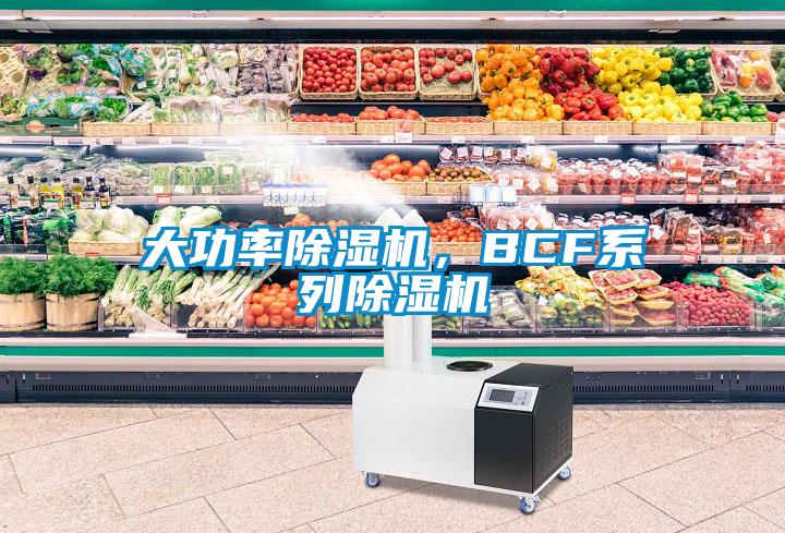 大功率除濕機(jī)，BCF系列除濕機(jī)