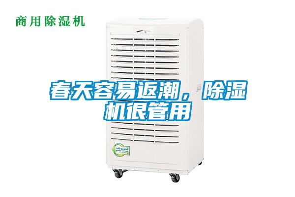 春天容易返潮，除濕機(jī)很管用