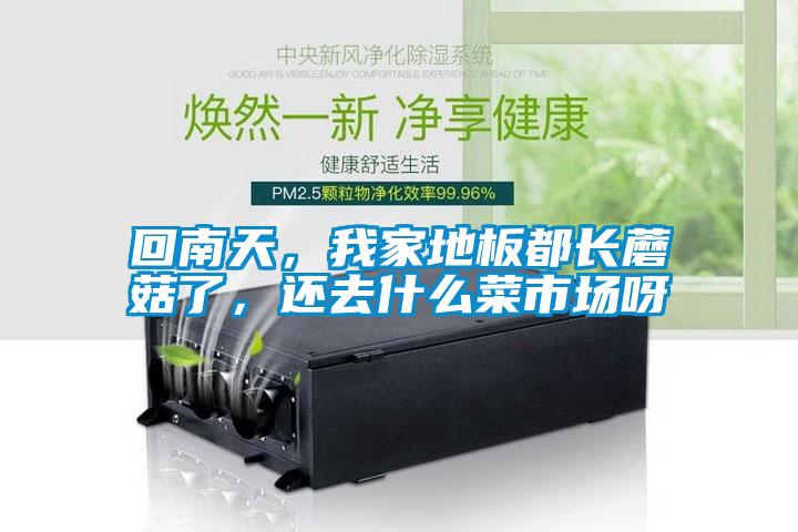 回南天，我家地板都長蘑菇了，還去什么菜市場呀