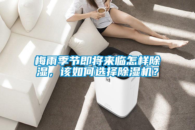 梅雨季節(jié)即將來臨怎樣除濕，該如何選擇除濕機(jī)？