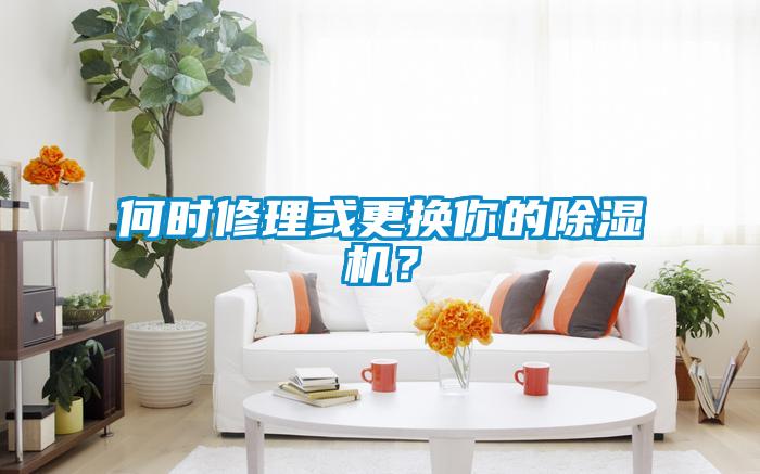 何時(shí)修理或更換你的除濕機(jī)？