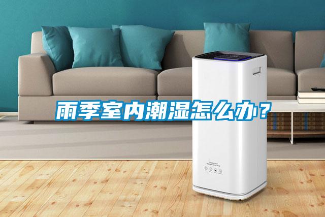 雨季室內(nèi)潮濕怎么辦？