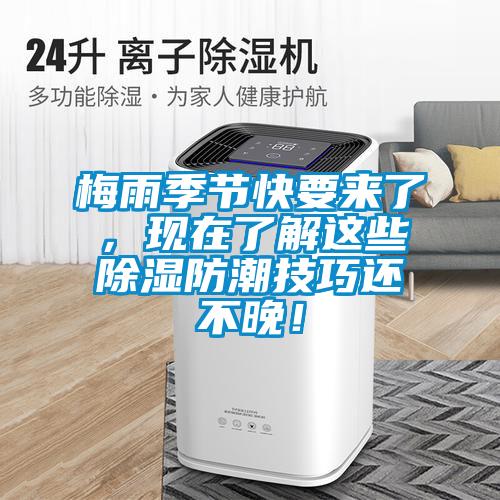 梅雨季節(jié)快要來了，現(xiàn)在了解這些除濕防潮技巧還不晚！