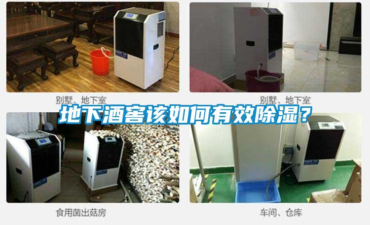 地下酒窖該如何有效除濕？