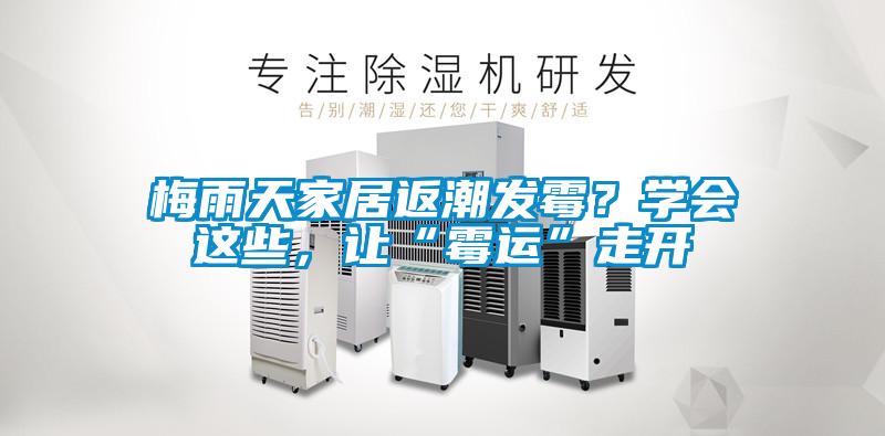 梅雨天家居返潮發(fā)霉？學(xué)會(huì)這些，讓“霉運(yùn)”走開(kāi)