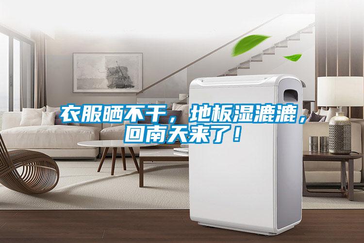 衣服曬不干，地板濕漉漉，回南天來了！