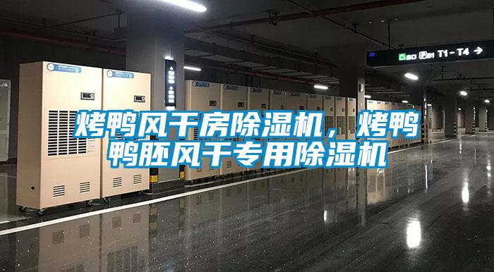 烤鴨風干房除濕機，烤鴨鴨胚風干專用除濕機