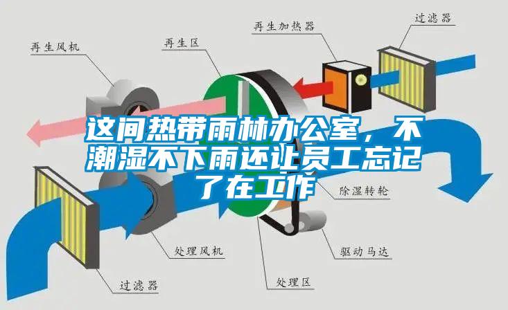 這間熱帶雨林辦公室，不潮濕不下雨還讓員工忘記了在工作