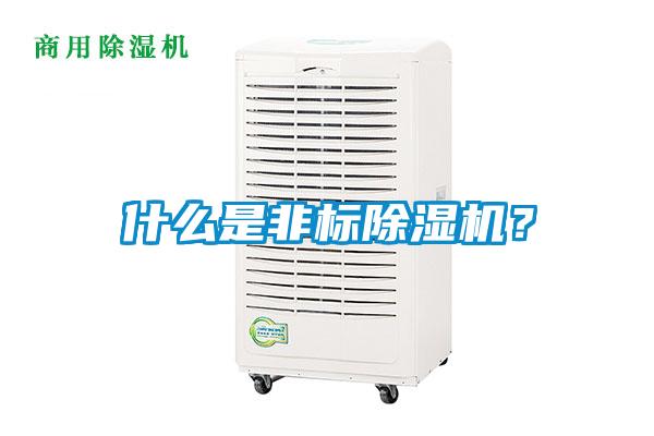 什么是非標(biāo)除濕機(jī)？