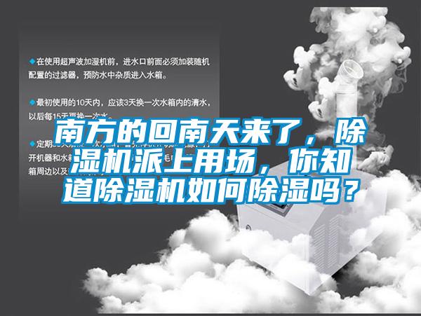 南方的回南天來了，除濕機(jī)派上用場，你知道除濕機(jī)如何除濕嗎？